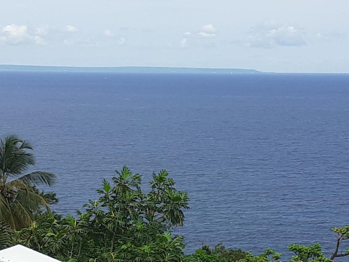 Awmony'Kaz, Gite A Trois-Rivieres Guadeloupe מראה חיצוני תמונה